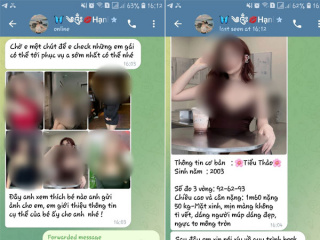 Ảnh bìa bài viết 925704