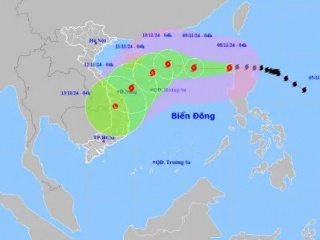 Ảnh bìa bài viết 963740