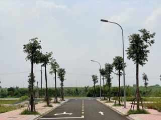 Ảnh bìa bài viết 966834