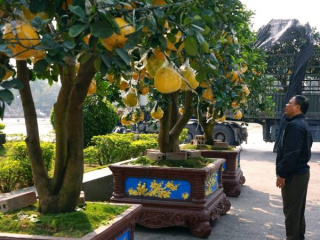 Ảnh bìa bài viết 972585