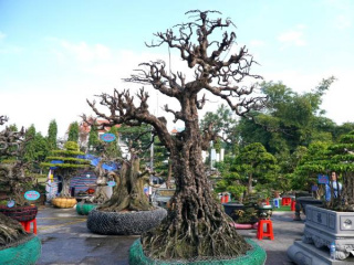 Ảnh bìa bài viết 974348