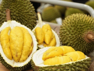 Ảnh bìa bài viết 989400