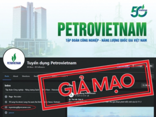 Ảnh bìa bài viết 991468