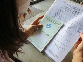 Ảnh bìa bài viết 992275