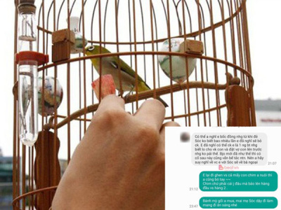 Chồng l&ecirc;n kể lể lương th&aacute;ng đưa đầy đủ, con vẫn bế m&agrave; chỉ mỗi chơi chim th&ocirc;i vợ cũng đ&ograve;i ly h&ocirc;n, hội chị em thi nhau nhảy v&agrave;o 'vạch trần sự thật'