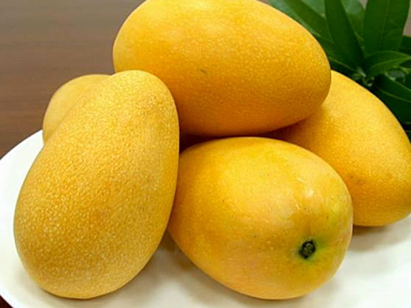 Ảnh bìa bài viết 623137