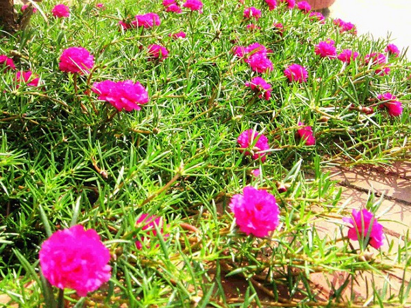 Ảnh bìa bài viết 624148