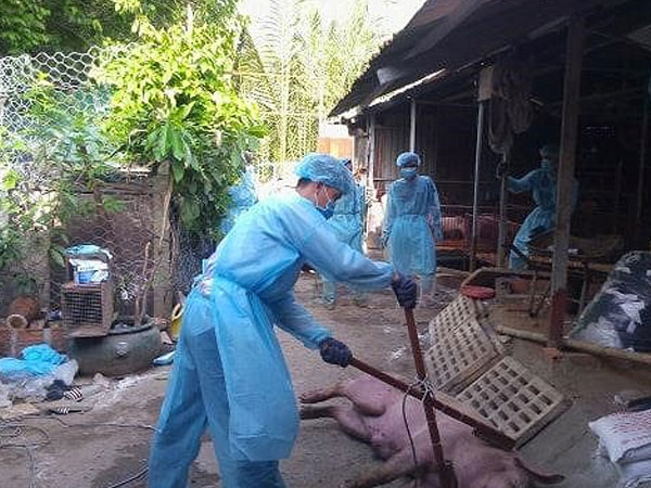 Ảnh bìa bài viết 624220