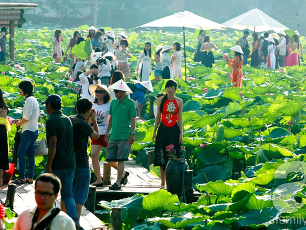 Ảnh bìa bài viết 624273