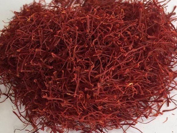 Ảnh bìa bài viết 626605