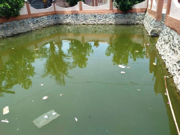 Ảnh bìa bài viết 631146