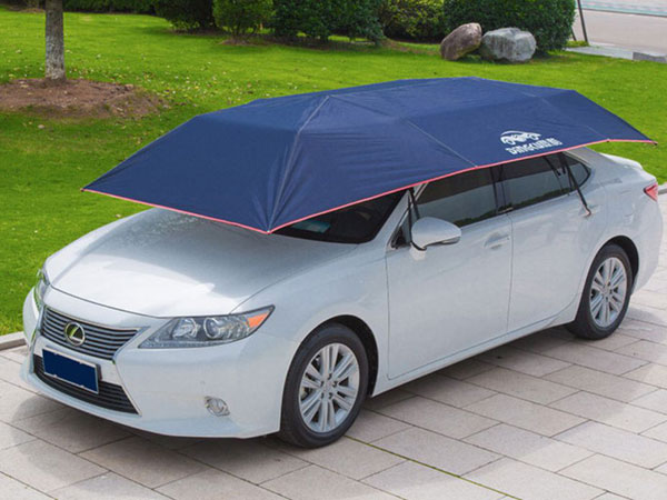 Ảnh bìa bài viết 631509