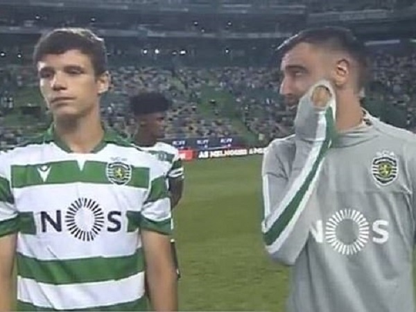 Ảnh bìa bài viết 633005