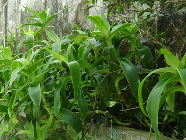 Ảnh bìa bài viết 633259