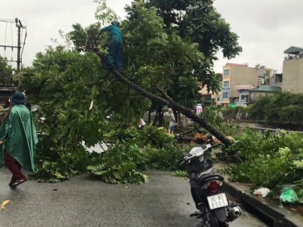 Ảnh bìa bài viết 634148