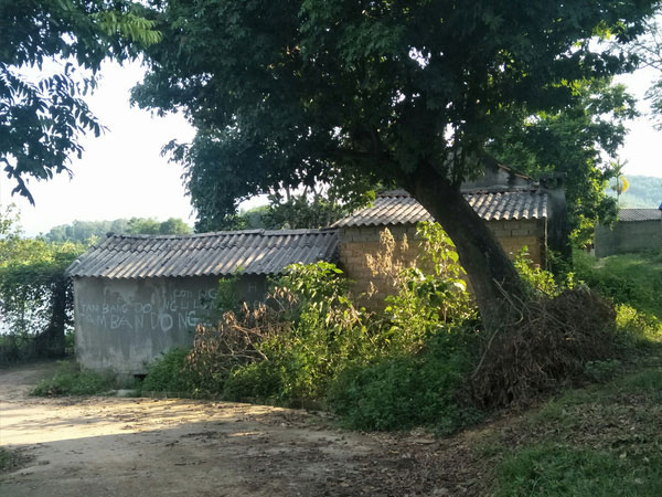 Ảnh bìa bài viết 635875