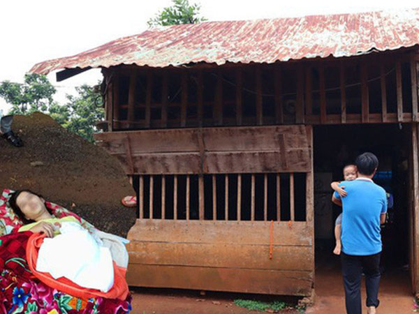 Ảnh bìa bài viết 637122