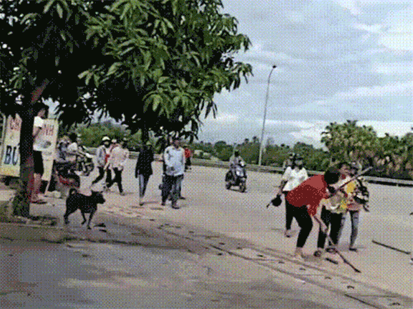 Ảnh bìa bài viết 637496