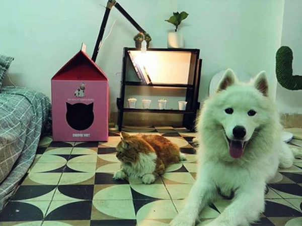 Ảnh bìa bài viết 638344