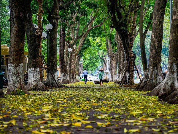 Ảnh bìa bài viết 643632