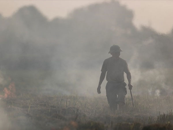 Ảnh bìa bài viết 645687