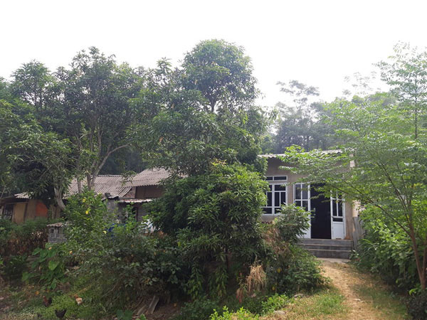 Ảnh bìa bài viết 646181