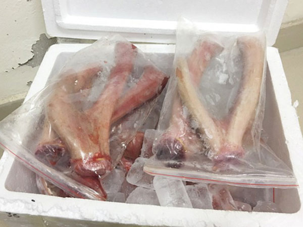 Ảnh bìa bài viết 646562