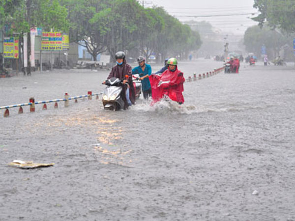 Ảnh bìa bài viết 646558