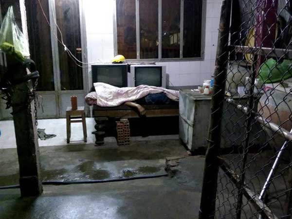 Ảnh bìa bài viết 646762