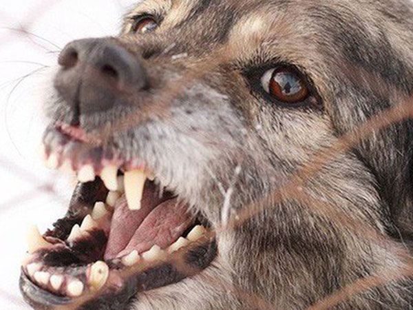 Ảnh bìa bài viết 647018