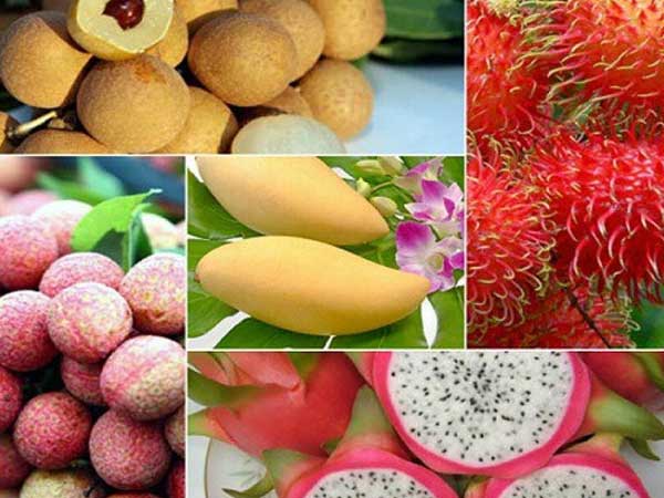Ảnh bìa bài viết 647688
