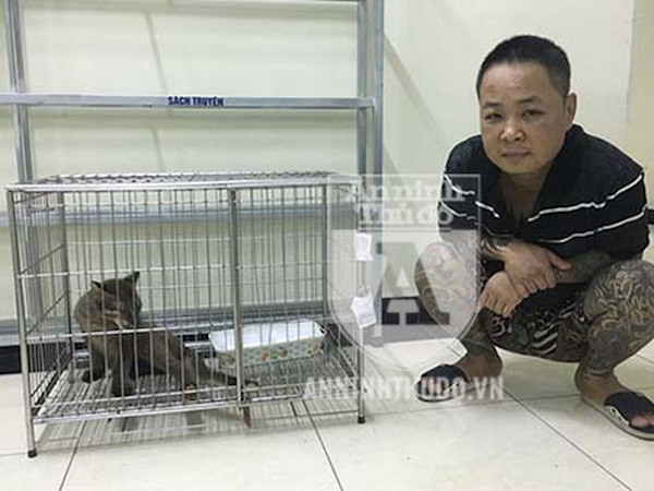 Ảnh bìa bài viết 648615