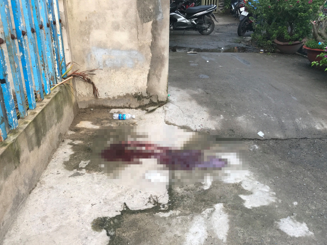 Ảnh bìa bài viết 649137