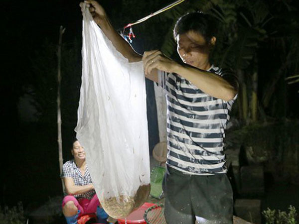 Ảnh bìa bài viết 649911