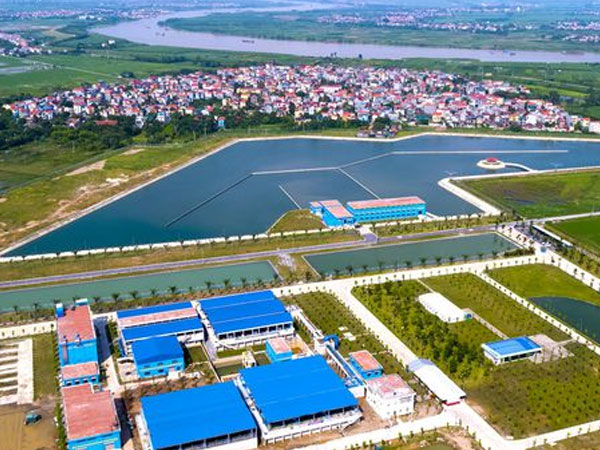 Ảnh bìa bài viết 650377