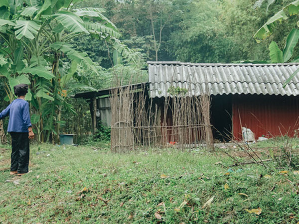Ảnh bìa bài viết 651524
