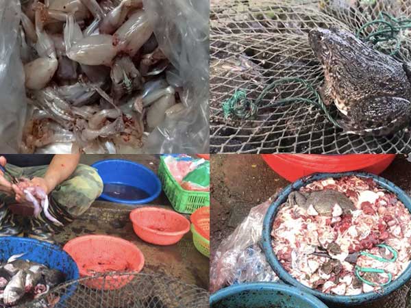 Ảnh bìa bài viết 652032