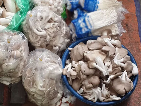 Ảnh bìa bài viết 652932