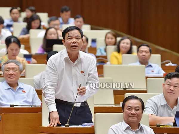 Ảnh bìa bài viết 652997