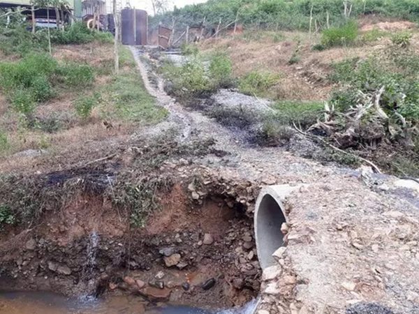 Ảnh bìa bài viết 653866