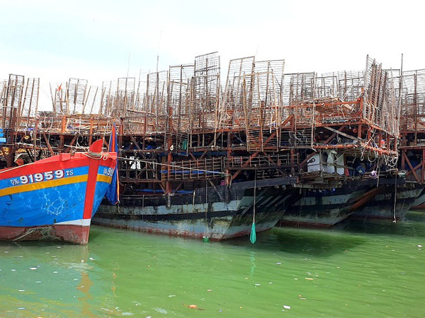 Ảnh bìa bài viết 653867