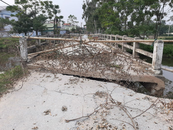 Ảnh bìa bài viết 654254