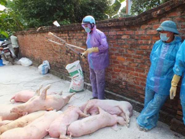 Ảnh bìa bài viết 654405