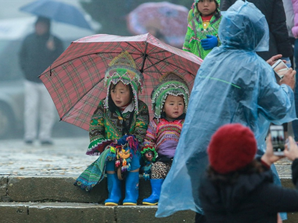 Ảnh bìa bài viết 654994