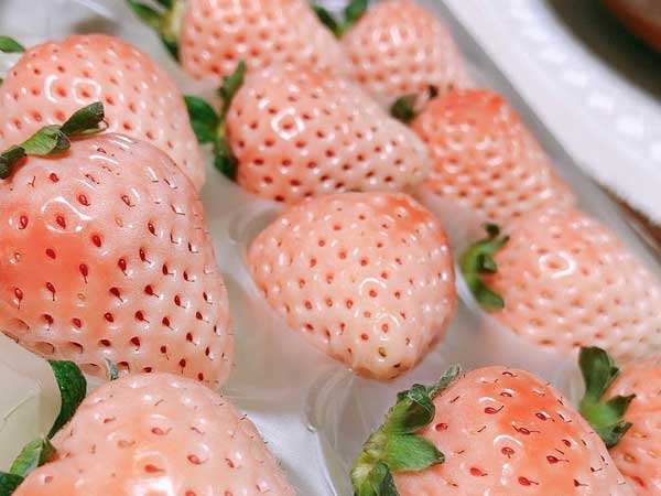 Ảnh bìa bài viết 655400