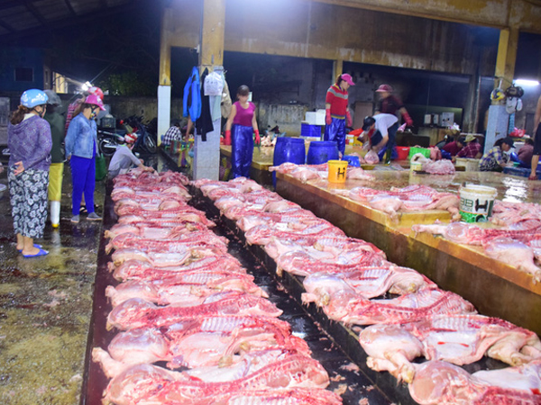 Ảnh bìa bài viết 656426