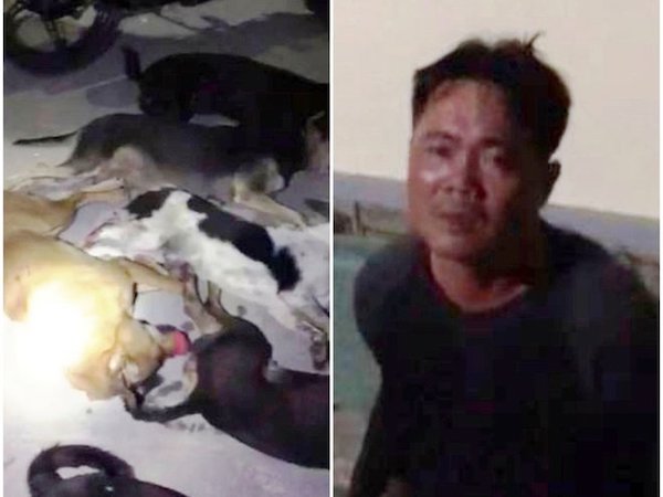 Ảnh bìa bài viết 656880