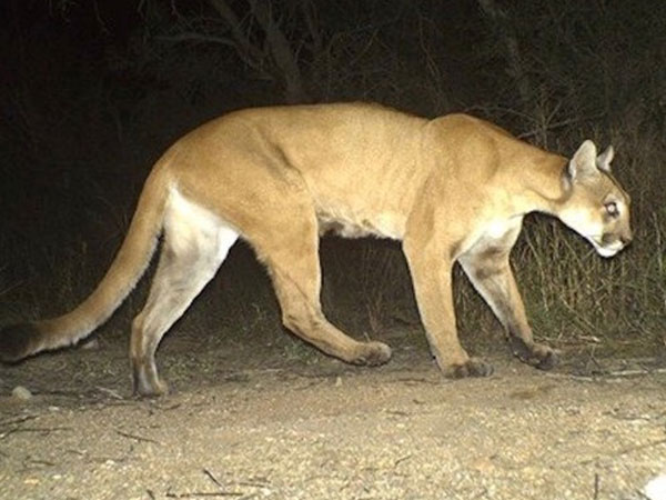 Ảnh bìa bài viết 657547