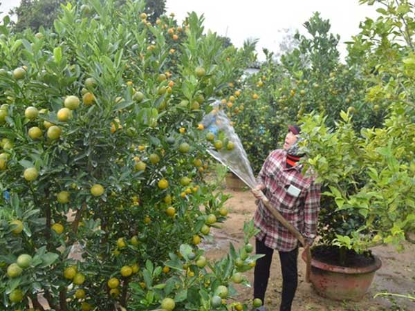 Ảnh bìa bài viết 658508