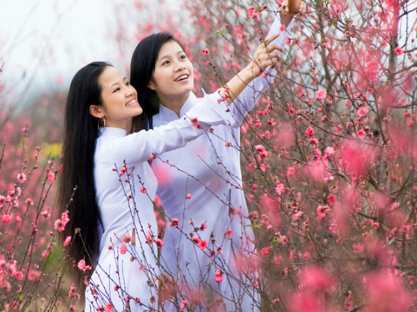Ảnh bìa bài viết 658560